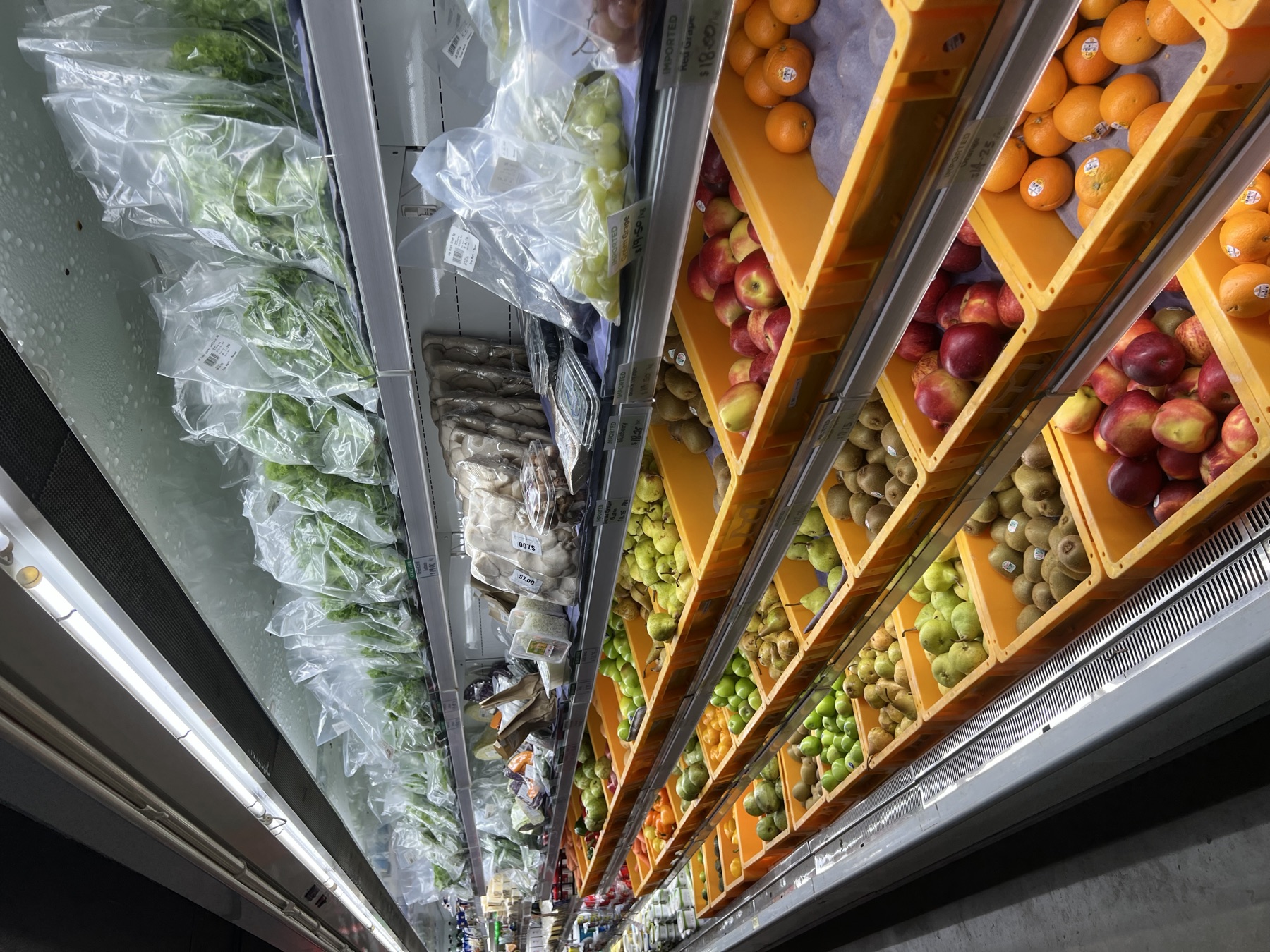 Produce and grocery displays for student shopping