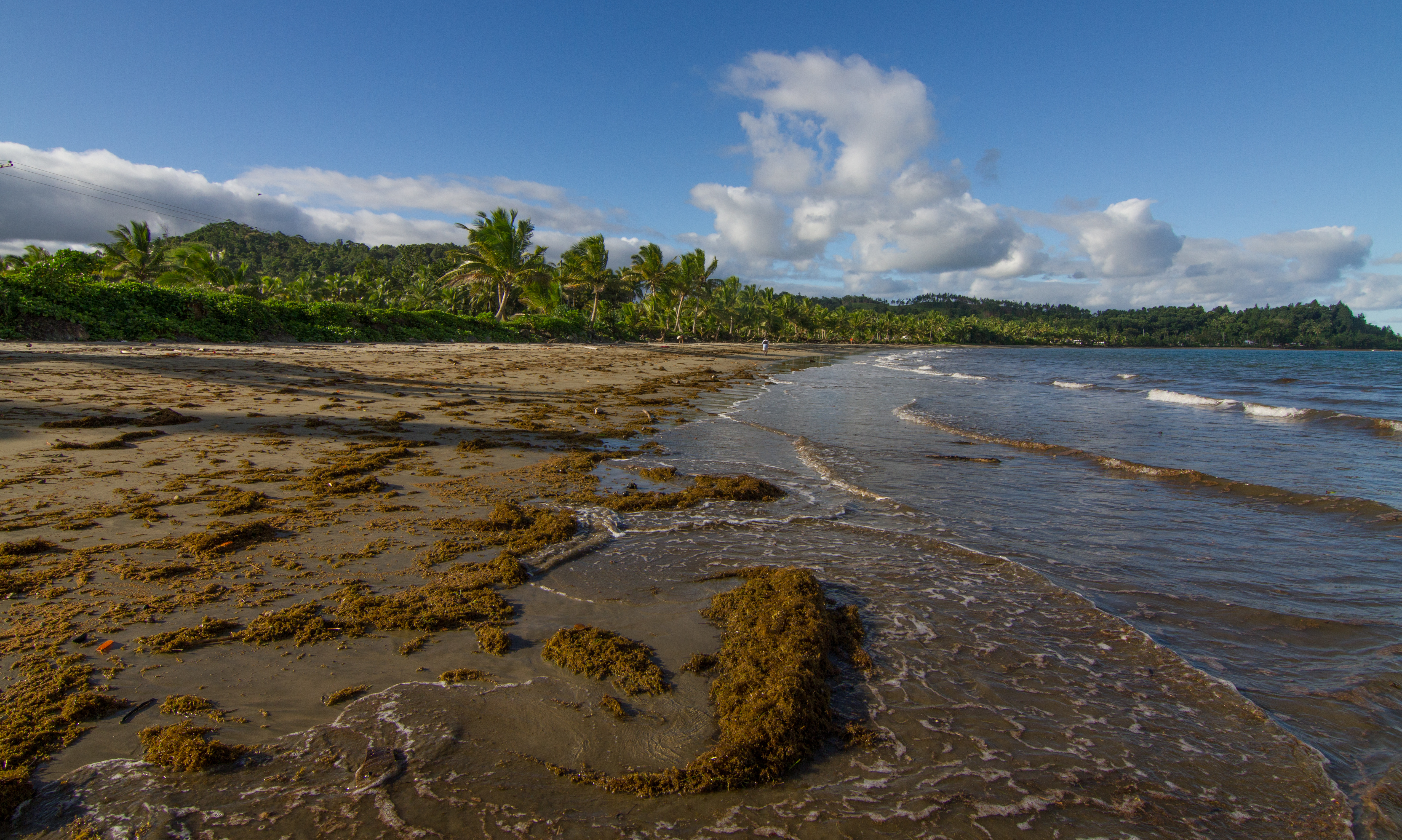 Beach landscape in Fiji
